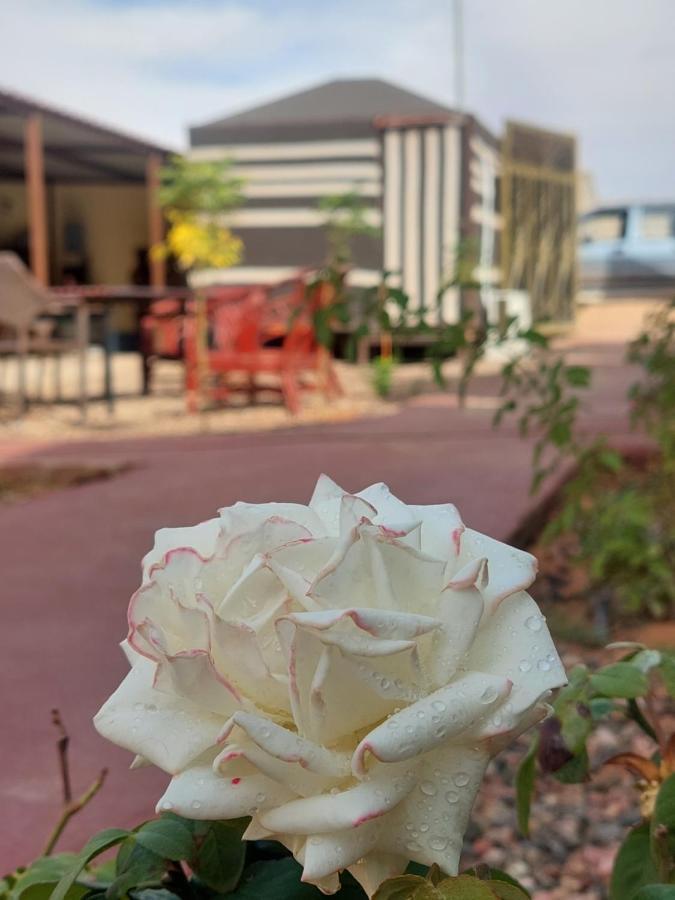 Wadi Rum Oryx Hostel & Tours מראה חיצוני תמונה