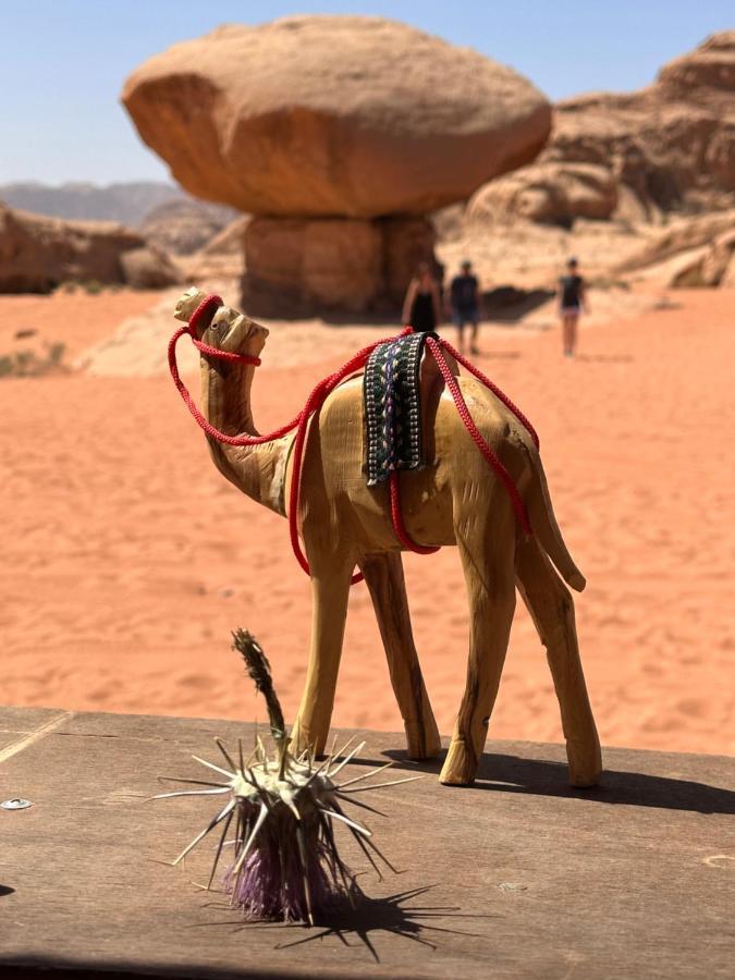 Wadi Rum Oryx Hostel & Tours מראה חיצוני תמונה